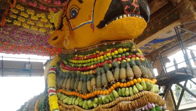 Puja’s and Seva’s of mahanandi temple
